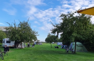Kleine camping in provincie Groningen - blauwestadhoeve